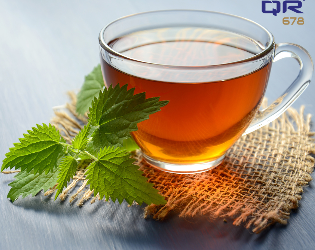 Green Tea for Hair Growth and Hair Loss Prevention